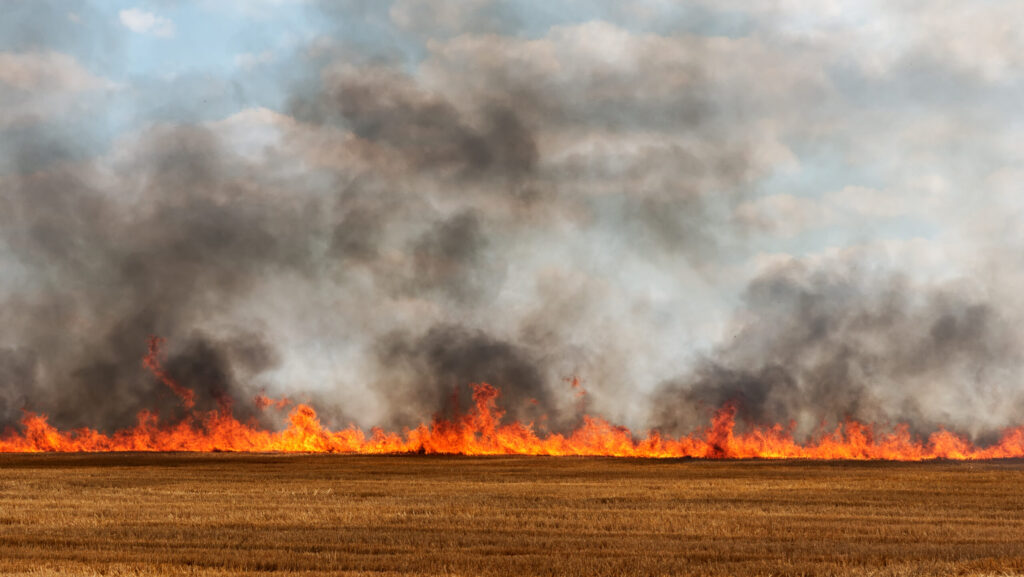 Image of a wild fire.